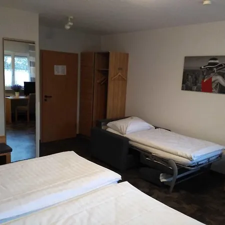 Mueller 3* Ringheim